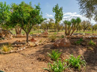 Villa Santa Maria del Camí Registrazione all'aperto 25