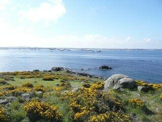 Vakantiehuis Locquénolé Omgeving 29