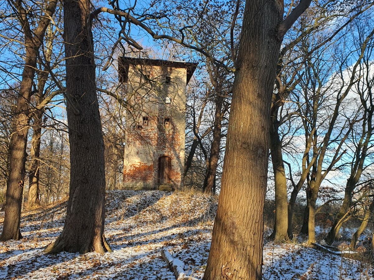 Ferienwohnung Klausdorf bei Stralsund Umgebung 38