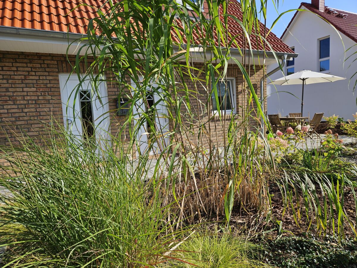 Ferienwohnung Klausdorf bei Stralsund Außenaufnahme 3