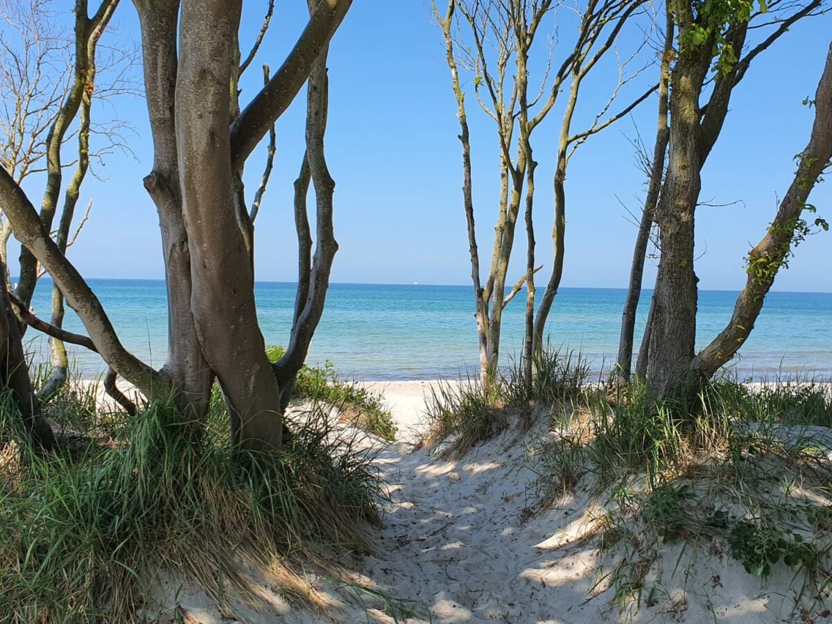 Weststrand auf dem Darß