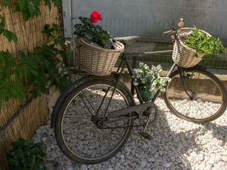 Villa Sukošan Ambiente 27