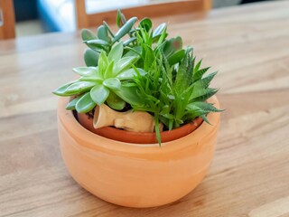 Appartamento Sölden  39