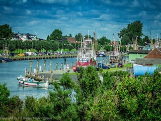 Apartment Büsum Umgebung 16