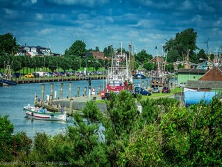 Appartement Büsum Environnement 16