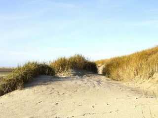 Appartement St. Peter-Ording Environnement 13