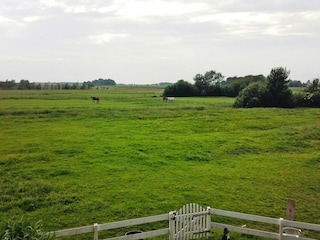 Apartment Tönning Outdoor Recording 2