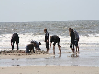 Ferienhaus St. Peter-Ording Umgebung 20