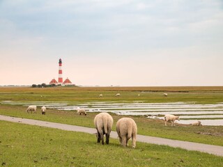 Appartement St. Peter-Ording Omgeving 14