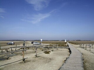 Appartement St. Peter-Ording Omgeving 18