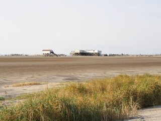 Apartamento St. Peter-Ording Entorno 23