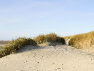 Appartement St. Peter-Ording Environnement 23