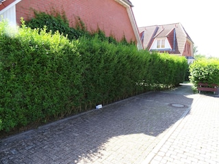 Ferienhaus Kellenhusen Außenaufnahme 5