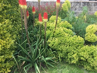 Maison de vacances Plérin Enregistrement extérieur 2