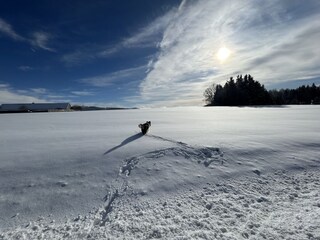 Ausblick vor der Haustüre im Winter