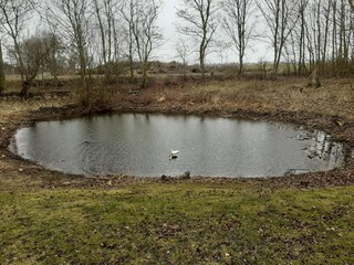 Apartment Petersdorf Umgebung 23