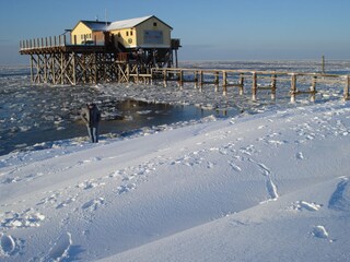 Appartement de vacances St. Peter-Ording Environnement 35