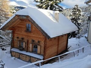 Chalet auf der Turracher Hoehe mit Pool und Sauna - Turrach - image1