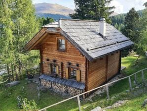 Chalet auf der Turracher Hoehe mit Pool und Sauna - Turrach - image1