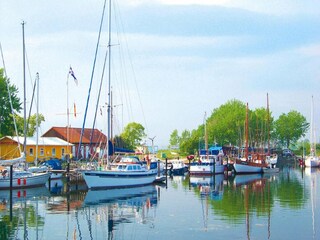 Apartment Orth Umgebung 10