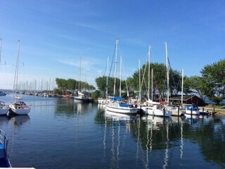 Apartment Orth Umgebung 13