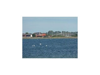 Appartement Orth Omgeving 19