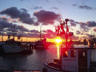 Appartement Neujellingsdorf  29