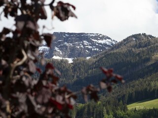 FeWo Zell-6