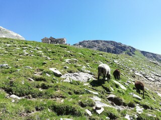IMG_20190723_112237