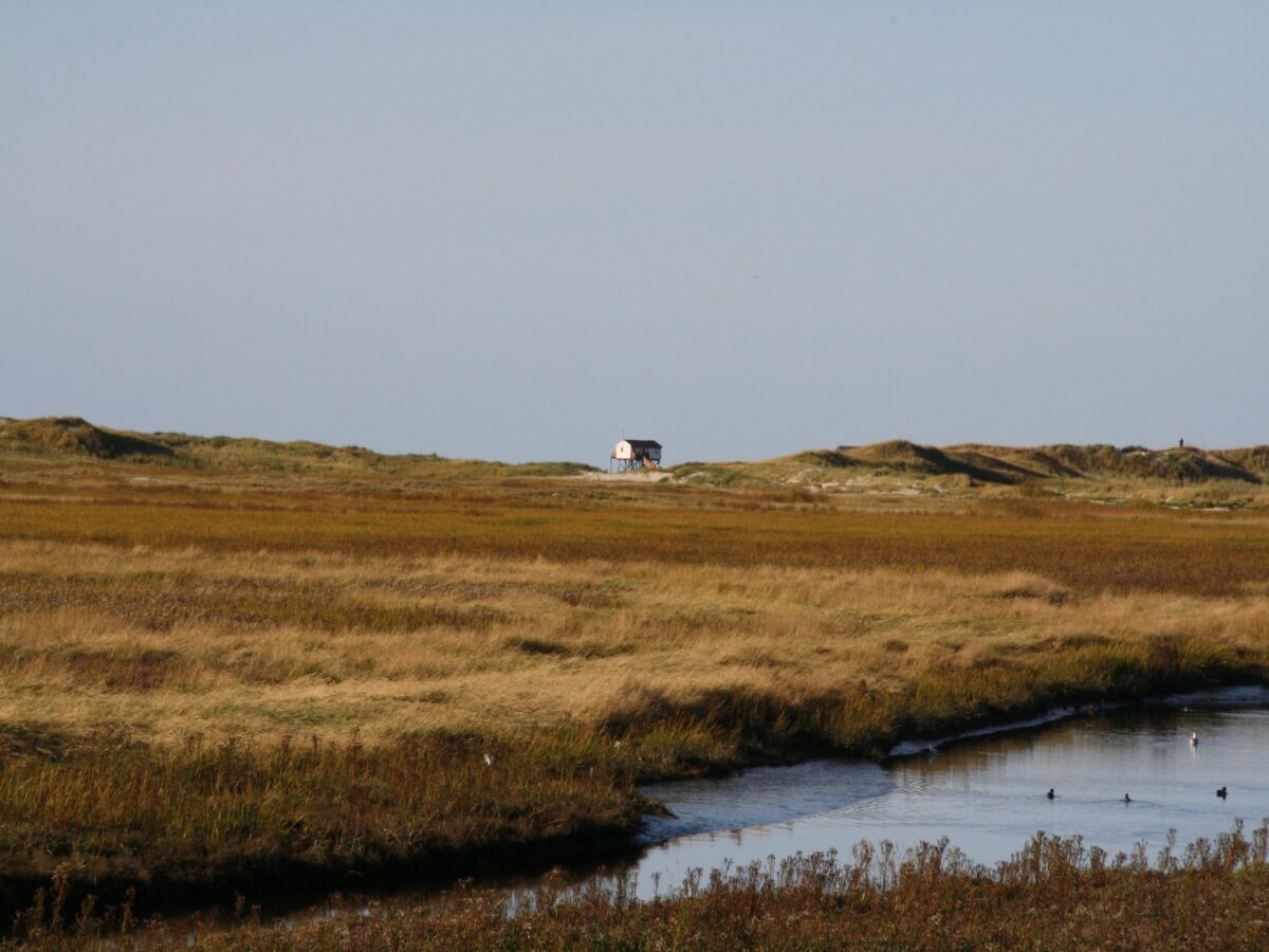 Ferienhaus St. Peter-Ording Umgebung 18