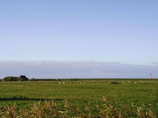 Appartamento Garding Ambiente 16