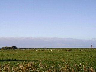 Appartement Garding Omgeving 15