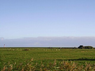 Apartment Garding Außenaufnahme 4