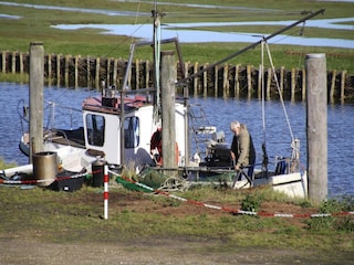 Apartment Garding Environment 19