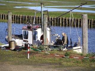 Appartement Garding Environnement 17
