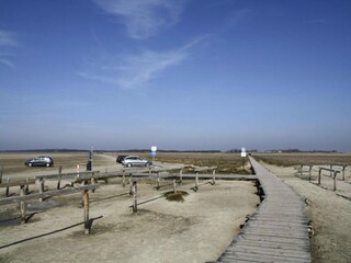 Appartement St. Peter-Ording Omgeving 15