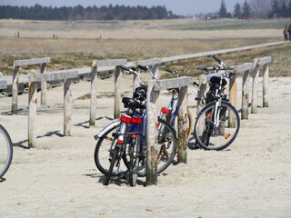 Appartement St. Peter-Ording Environnement 14