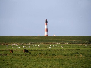 Appartement Garding  15