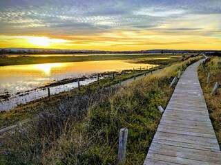 Ferienhaus Behrensdorf Umgebung 37