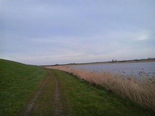 Vakantiehuis Colijnsplaat Omgeving 27