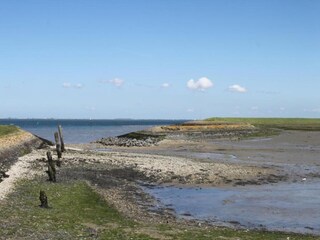 Vakantiehuis Colijnsplaat Omgeving 28