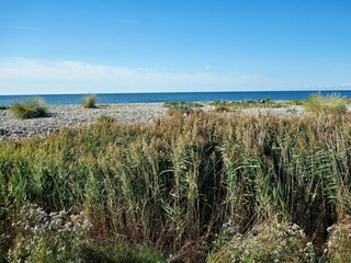 Appartement Petersdorf Environnement 25