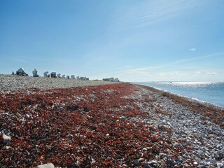 Apartment Petersdorf Environment 38