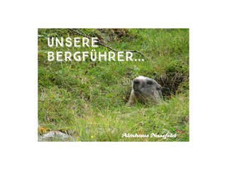 Vakantiehuis Hermagor Buitenaudio-opname 5