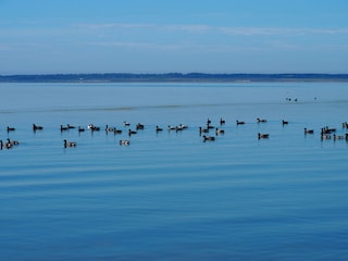 Nordsee ohne Wellen mit Blick auf Amrum