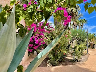 Appartement Roquetas de Mar Buitenaudio-opname 7