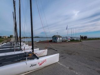 Apartment Saint-Vaast-la-Hougue Environment 33