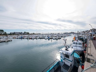 Apartment Saint-Vaast-la-Hougue Umgebung 30
