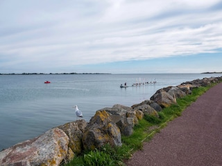 Apartment Saint-Vaast-la-Hougue Umgebung 31