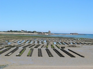 Apartment Saint-Vaast-la-Hougue Umgebung 33